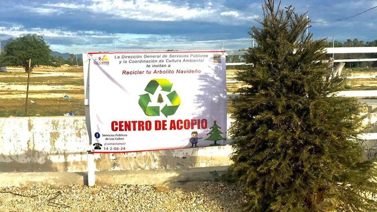 Arbol Navidad Cabo